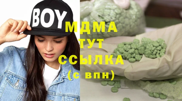 стаф Алзамай