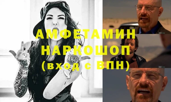 стаф Алзамай