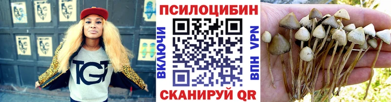 Галлюциногенные грибы Magic Shrooms  OMG рабочий сайт  Железногорск-Илимский 